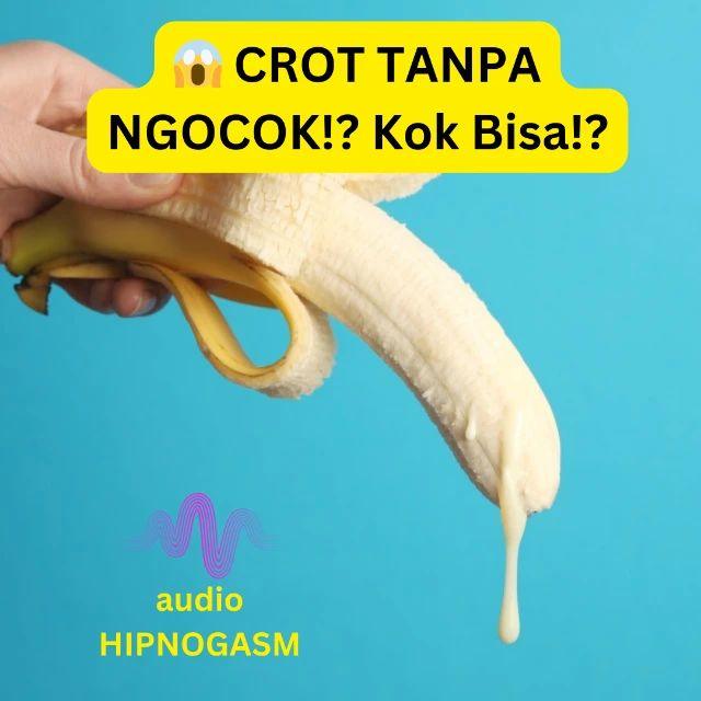 Audio Hypnogasm